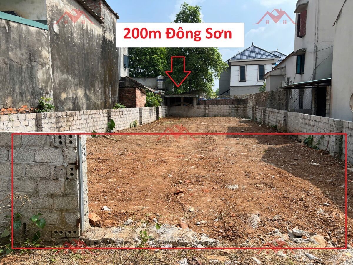 CHÍNH CHỦ BÁN LÔ ĐẤT 200M TẠI ĐÔNG SƠN-CHƯƠNG MỸ-HÀ NỘI - Ảnh chính